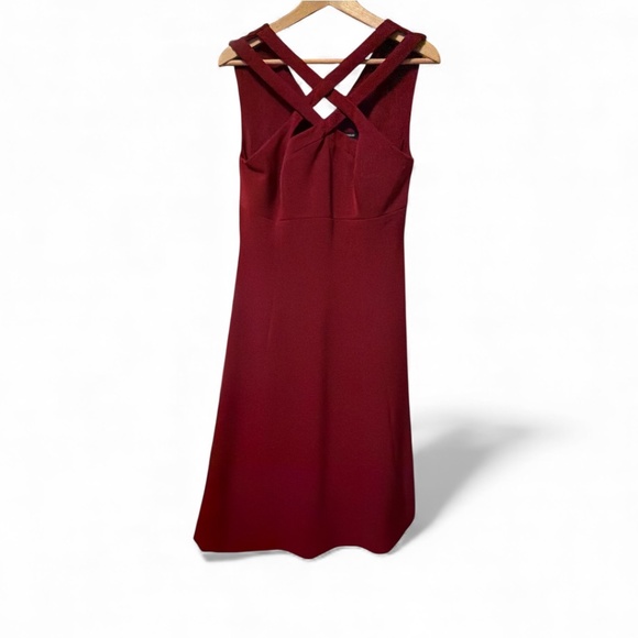 J Peterman Stunning Elegant Front Criss‎ Cross Halter V Back Dress - Size 6 - Picture 2 of 5